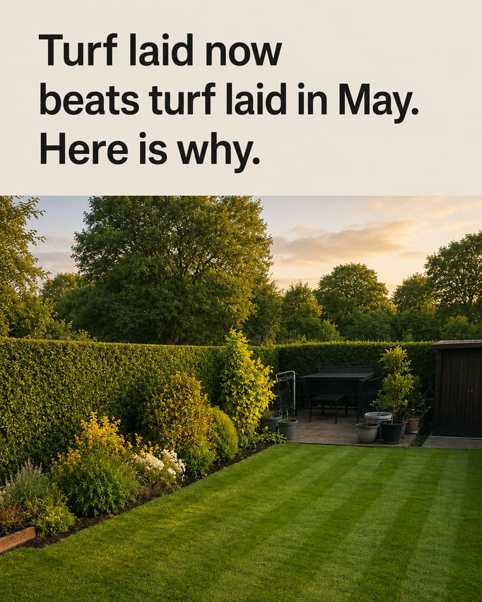 The same lawn and the same border, kept exactly as photographed, with the fence and the sky behind them replaced by a softer, greener boundary in golden light, and the words “Turf laid now beats turf laid in May. Here is why” on a pale stone band at the top.